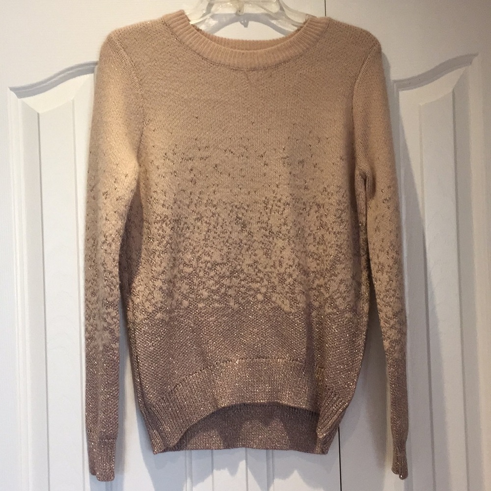 Pink and Metallic sweater from HM